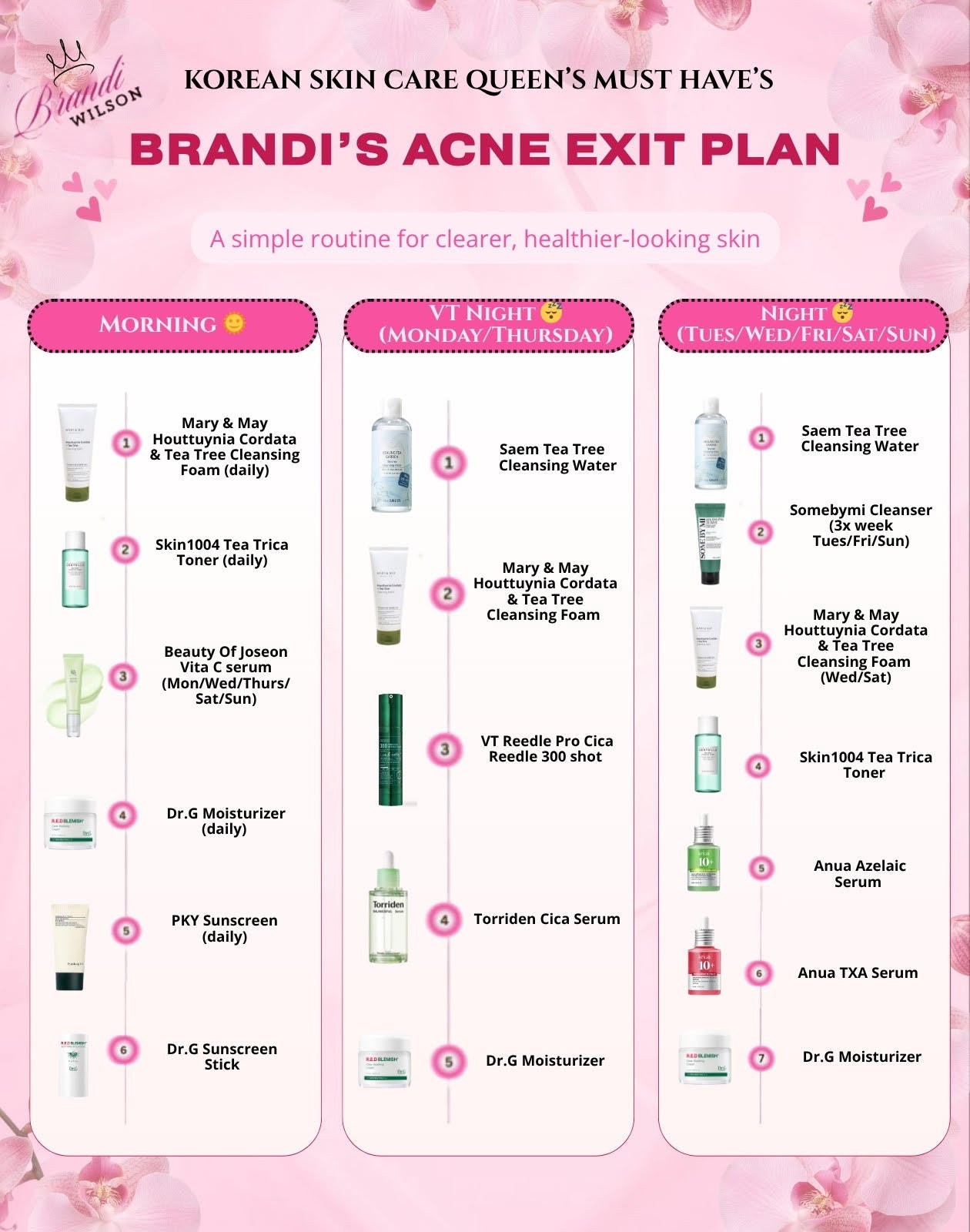Brandi Acne Exit Plan Budle discount